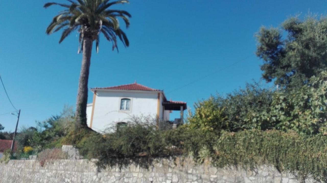 Casa Da Palmeira Outeiro da Corticada Extérieur photo